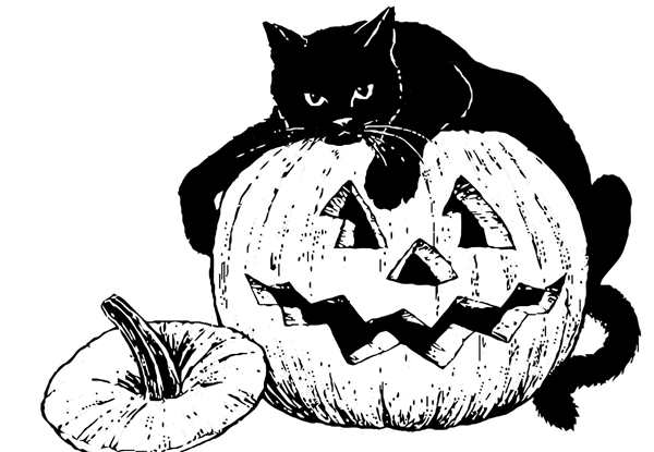 Раскраска. Котики