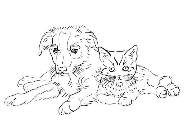Раскраска Котенок и Паук