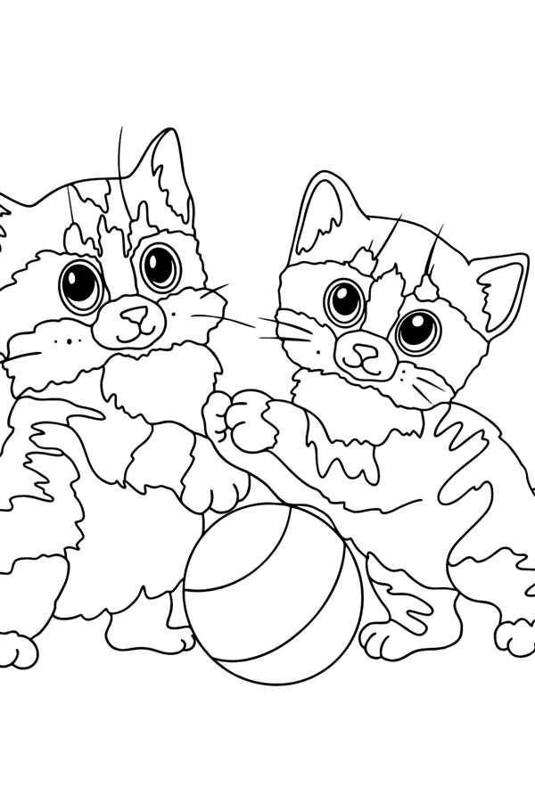 Раскраска кот