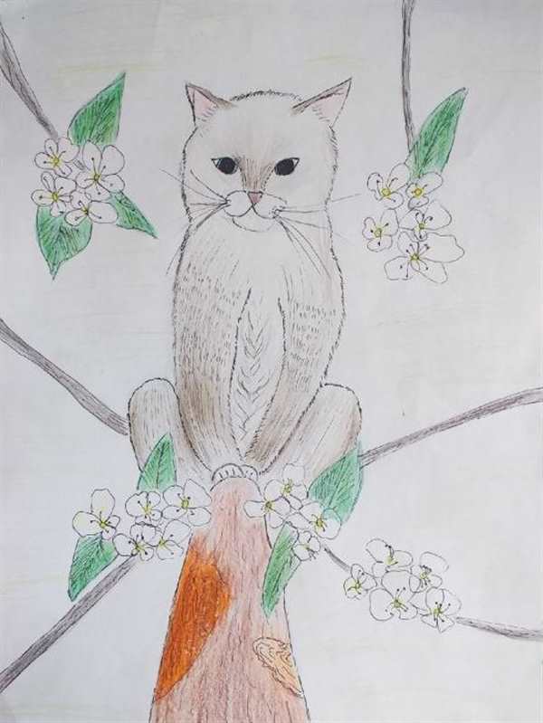 Раскраска кот