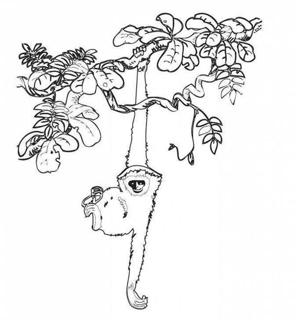Кошка на дереве раскраска
