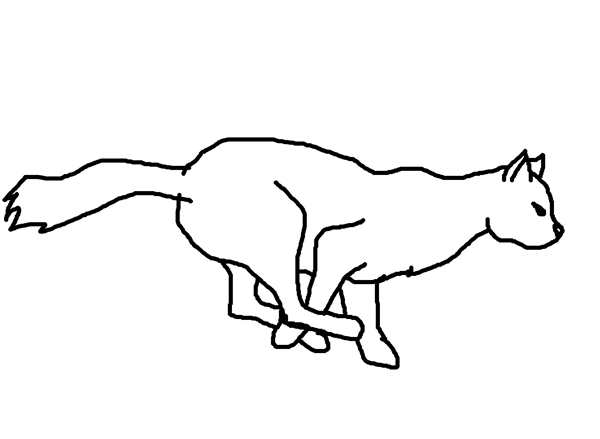 Кот ученый раскраска