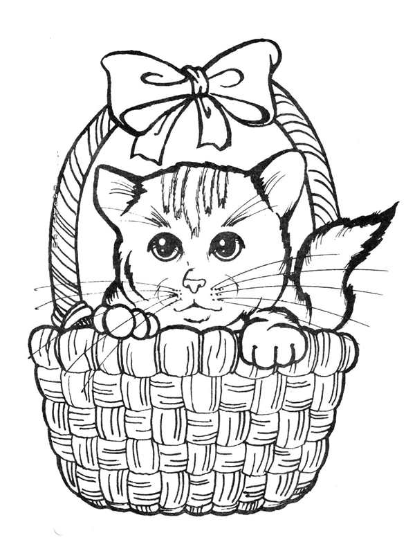 Раскраска котик в костюме