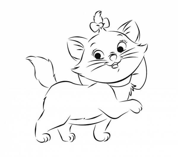 Раскраска кот