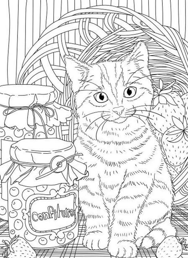 Котенок с клубочком раскраска
