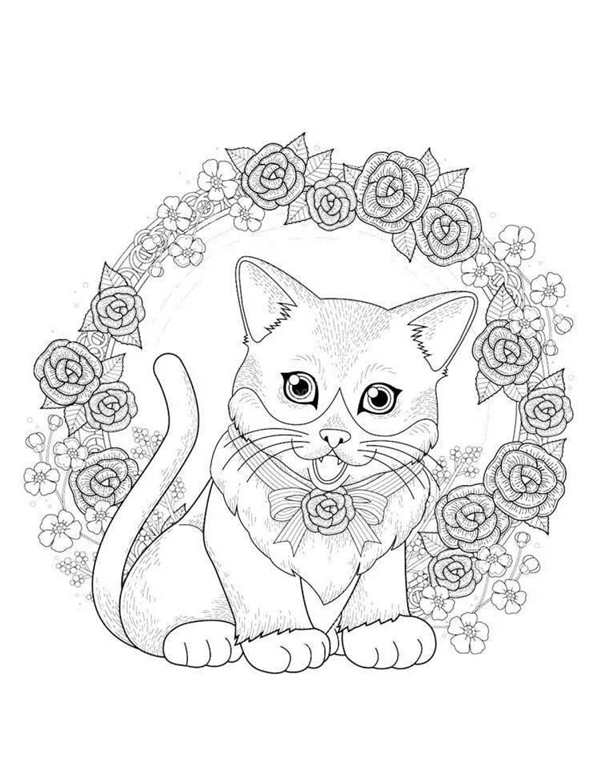 Раскраска Котенок в Лиловой Кофточке