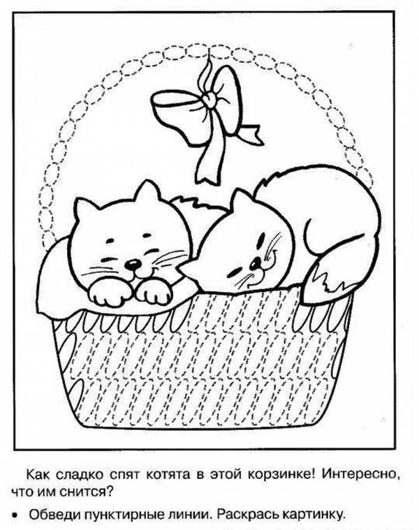 Кошка спит раскраска