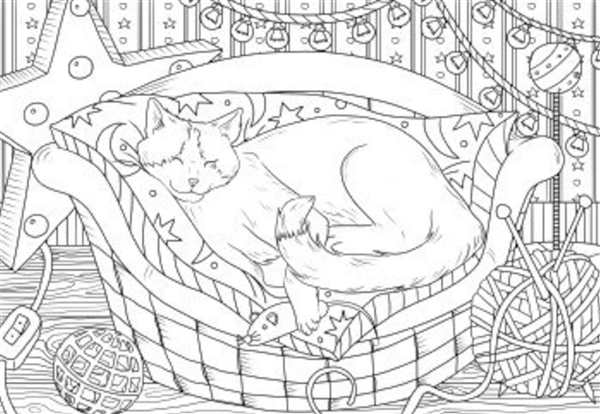 Спящий котик