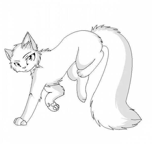 Лайн для рисования коты Воители