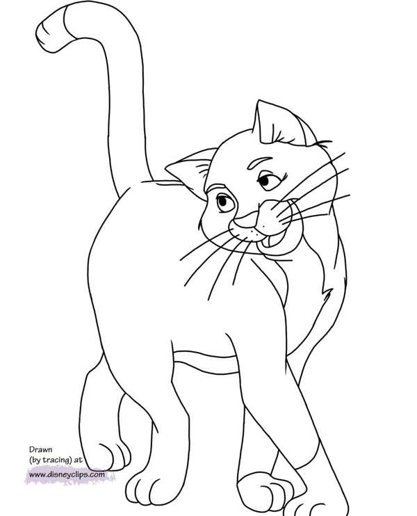 Раскраска. Котики