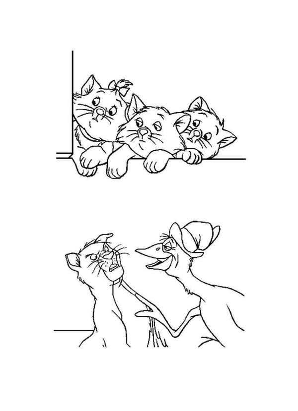 Раскраска коты
