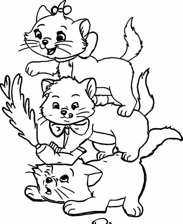 Раскраска Котик Хотите Играть