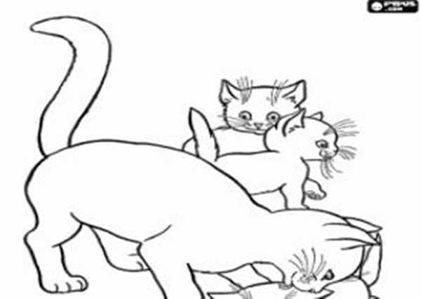 Картинки для раскрашивания котята