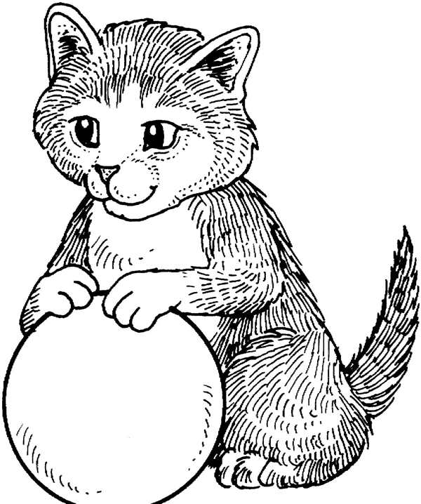 Котенок картинка для детей раскраска