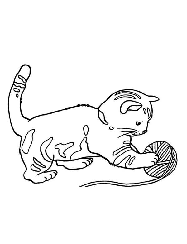 Раскраска Котик и его нитки