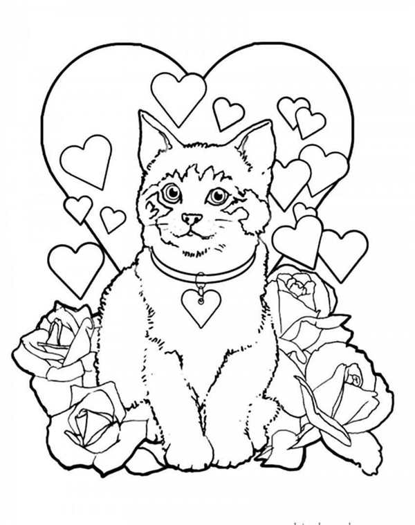 Кошки. Раскраска