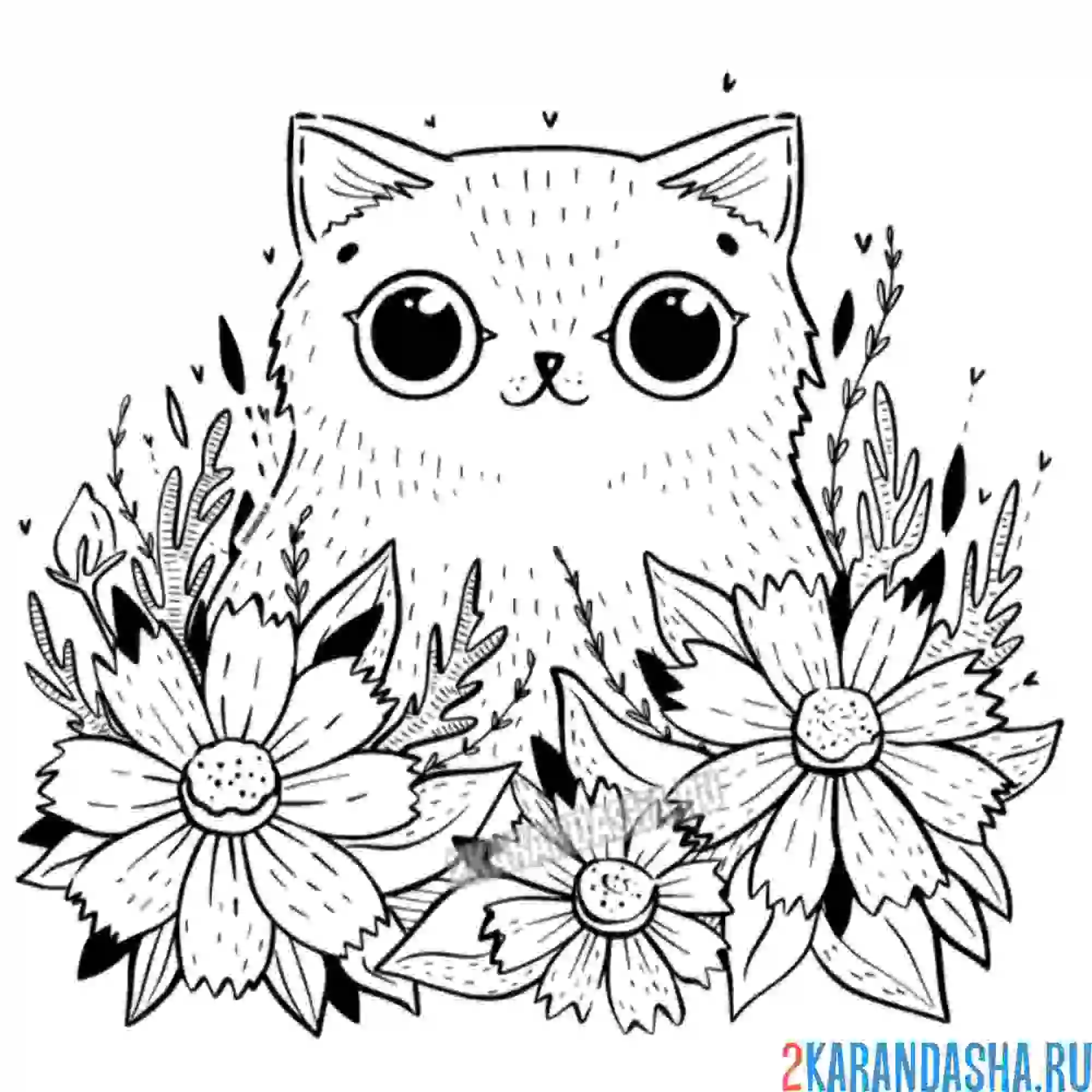 Кошка с бантиком раскраска