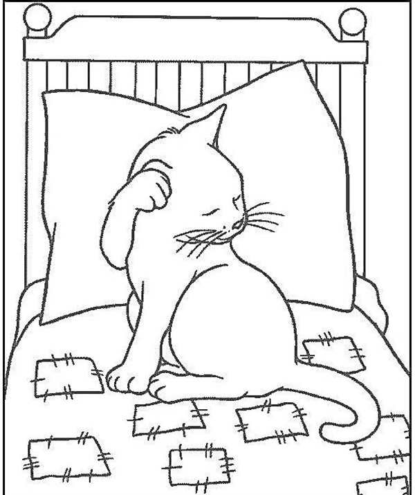 Котенок. Раскраска