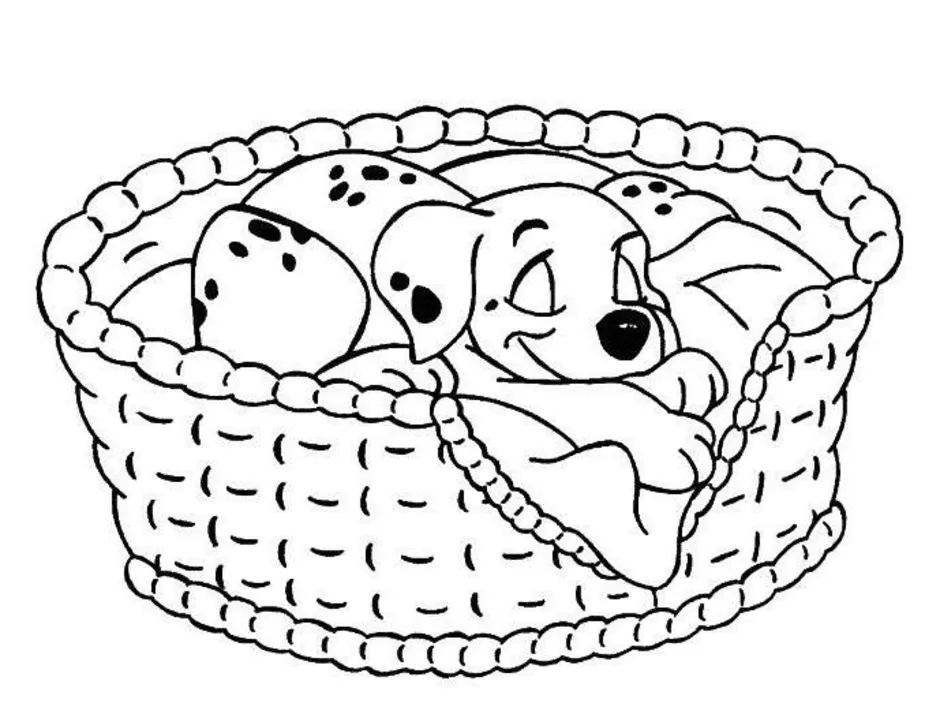 Кошка спит раскраска