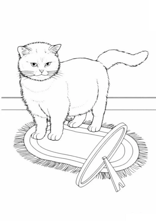 Раскраска КотУчёный Завесите Волшебный Мир