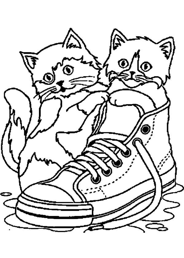 Котенок. Раскраска