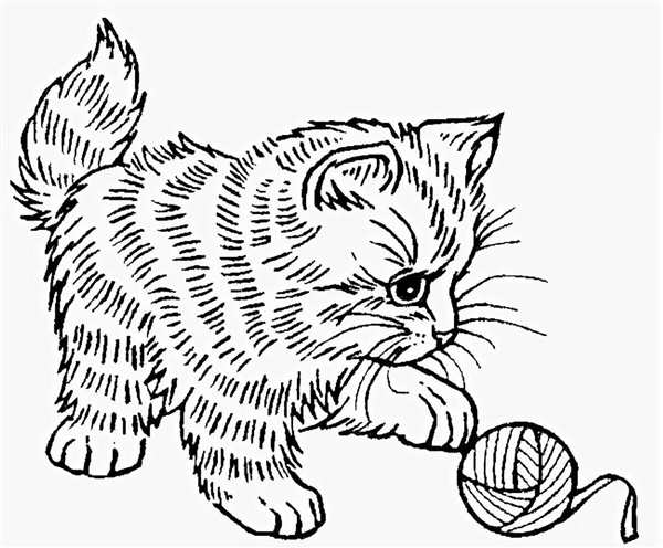 Кот на окне рисунок детский