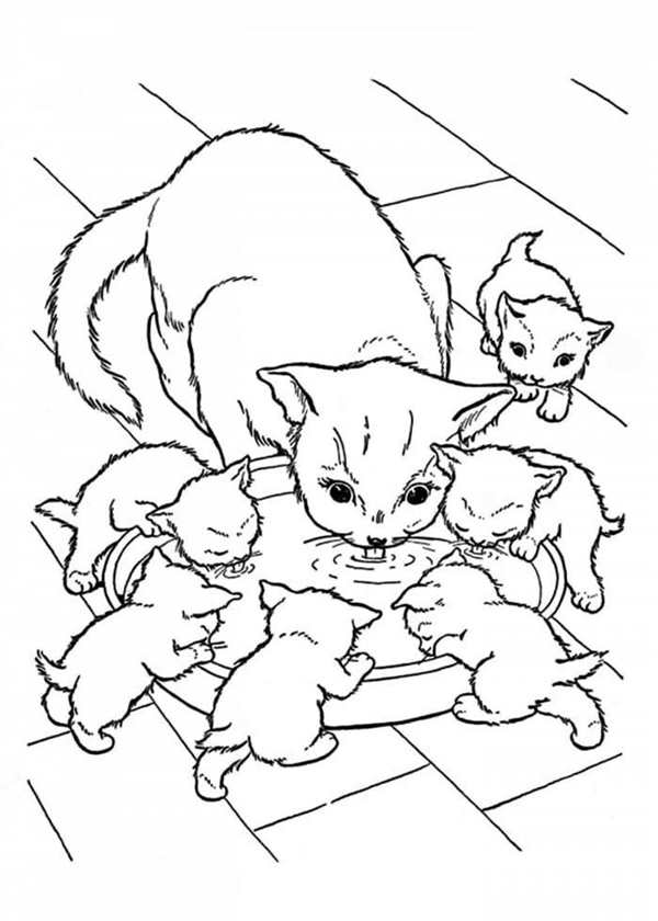Раскраска Котята у