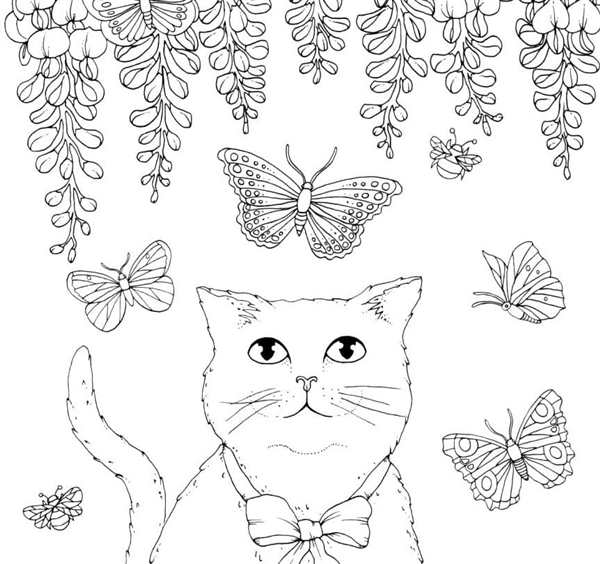 Раскраска Котёнок и Бабочки