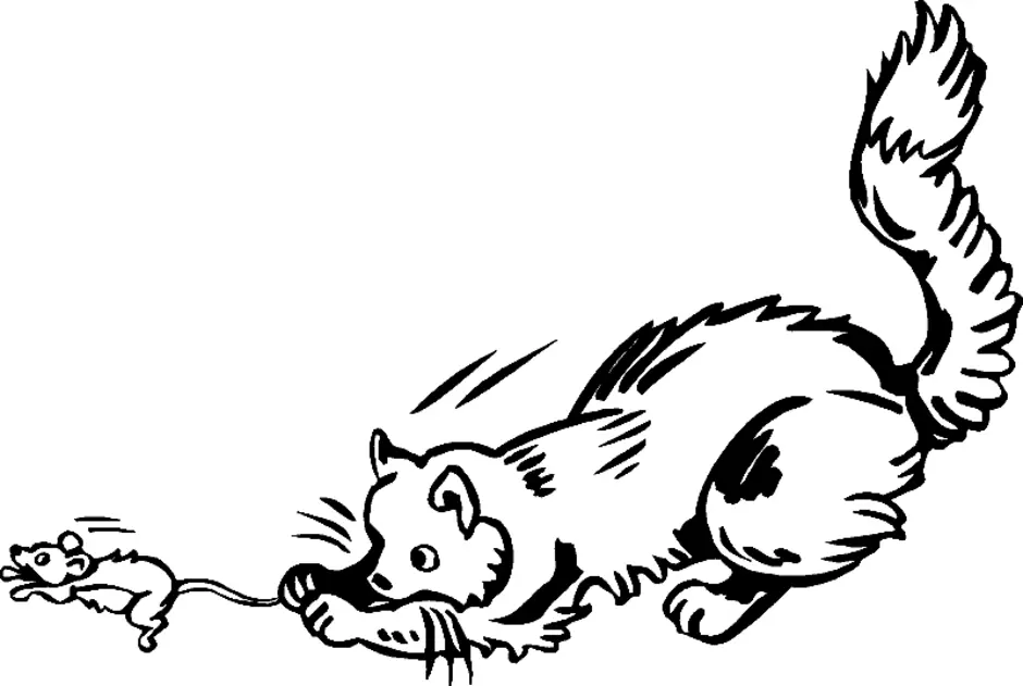 Котенок. Раскраска