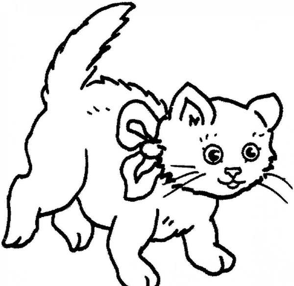Кошка раскраска для детей