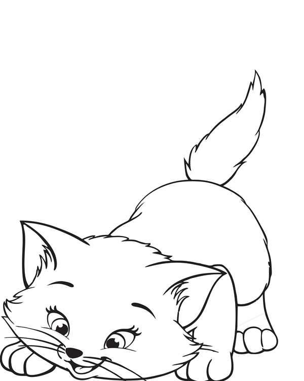 Кот умывается