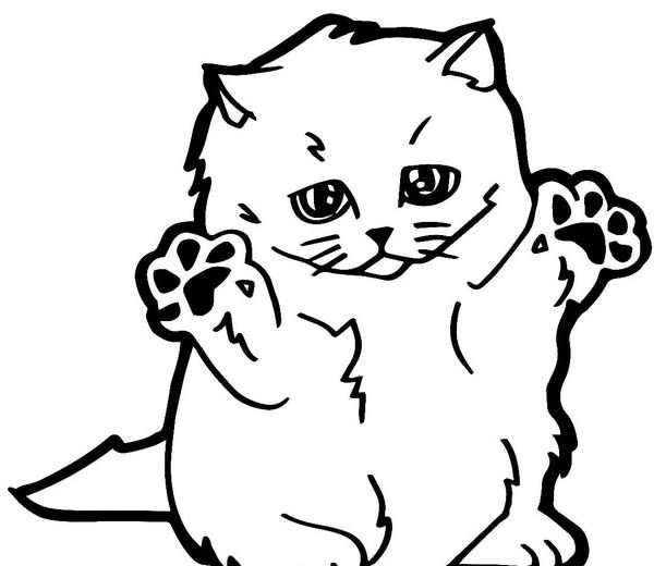 Кошка рисунок