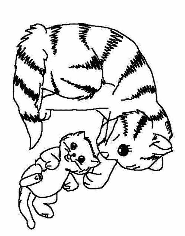 Раскраска Котёнок Лижет Лапку
