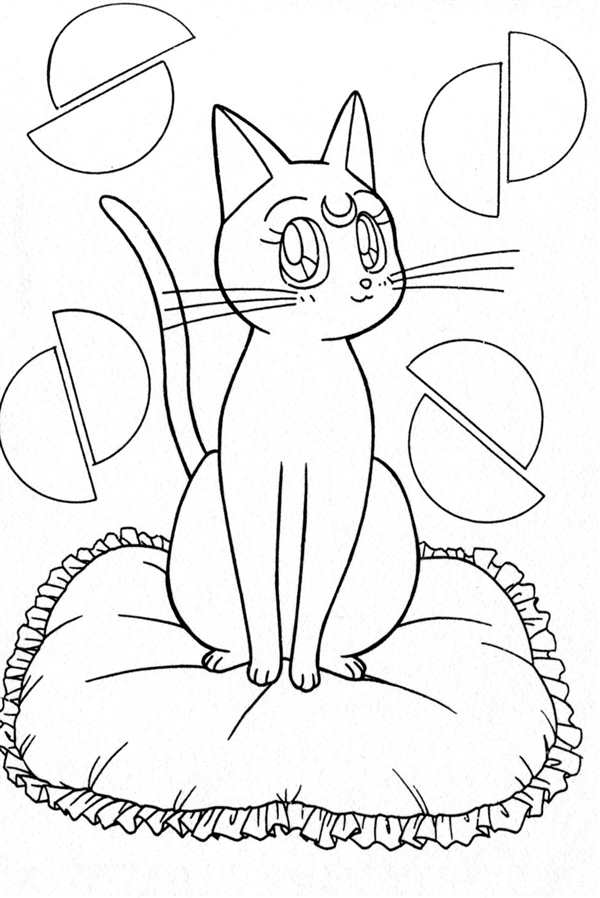 Раскраска лунный котик