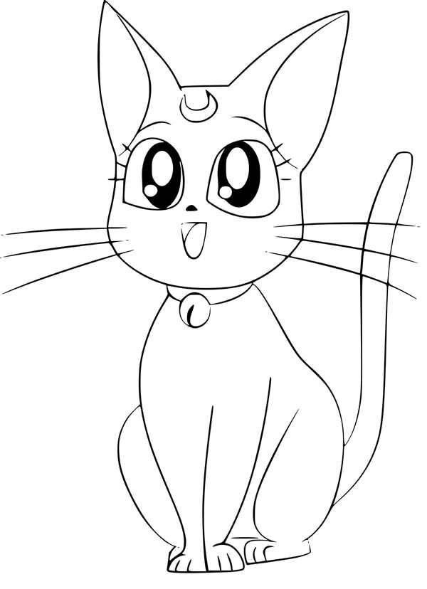 Кот Единорог раскраска