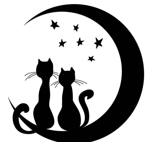 Космический кот