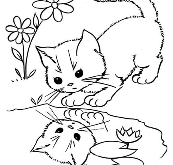 Котенок. Раскраска