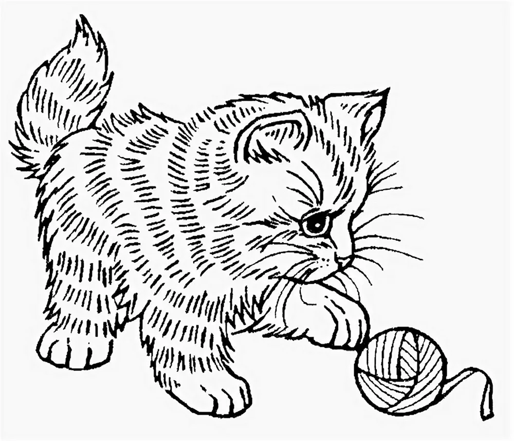 Раскраска Котёнок смеётся в ромашках