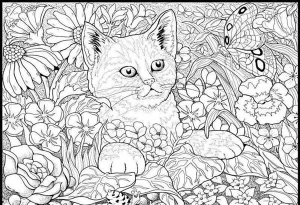 Раскраска котик с цветами