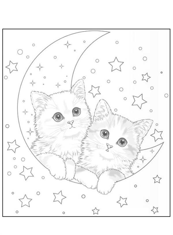 Раскраска котик с цветами