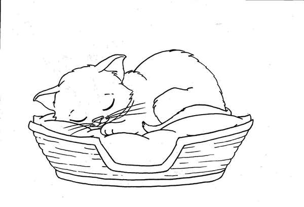 Кошки. Раскраска