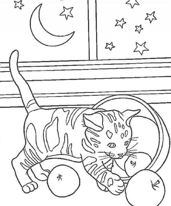 Раскраски кота Пушина