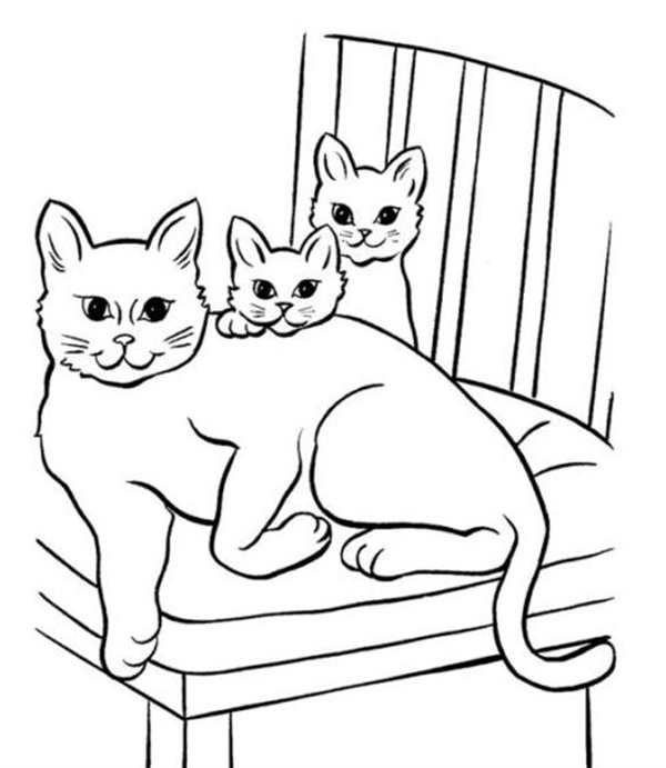 Раскраска кот