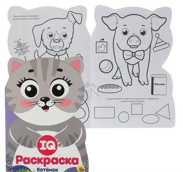 Раскраска Котёнок В Самолёте