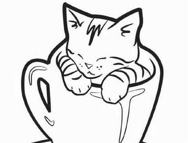 Раскраска спящие котята