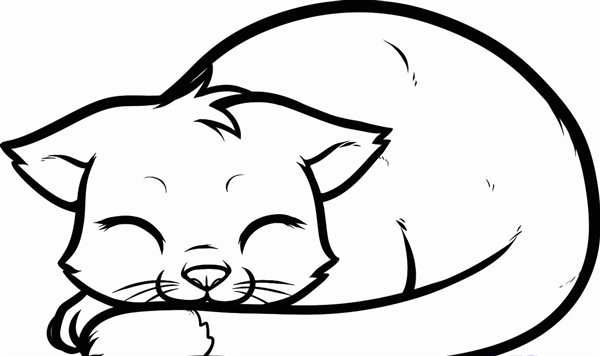 Котик раскраска для детей