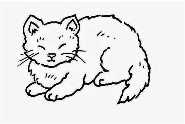 Раскраска Котёнок В Сердечке Мягкие Линии Для Заботливых Друзей