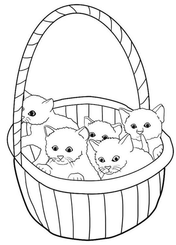Раскраска Котёнок в уютном домике