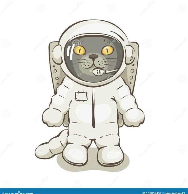 Раскраска космический котик