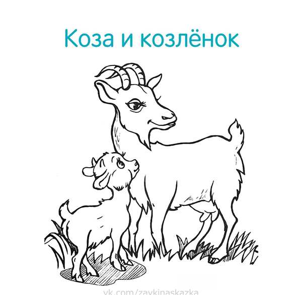 Козлик раскраска для малышей